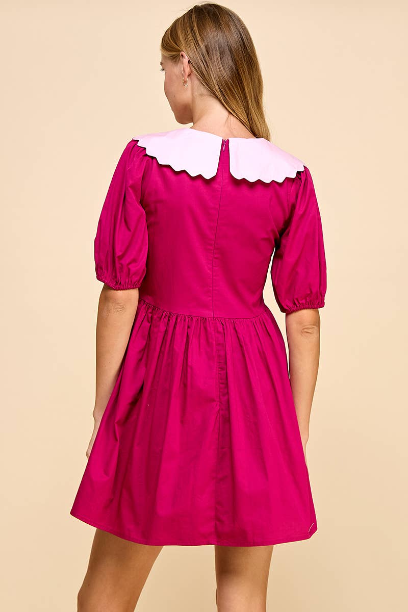 Tea Party Collared Dress