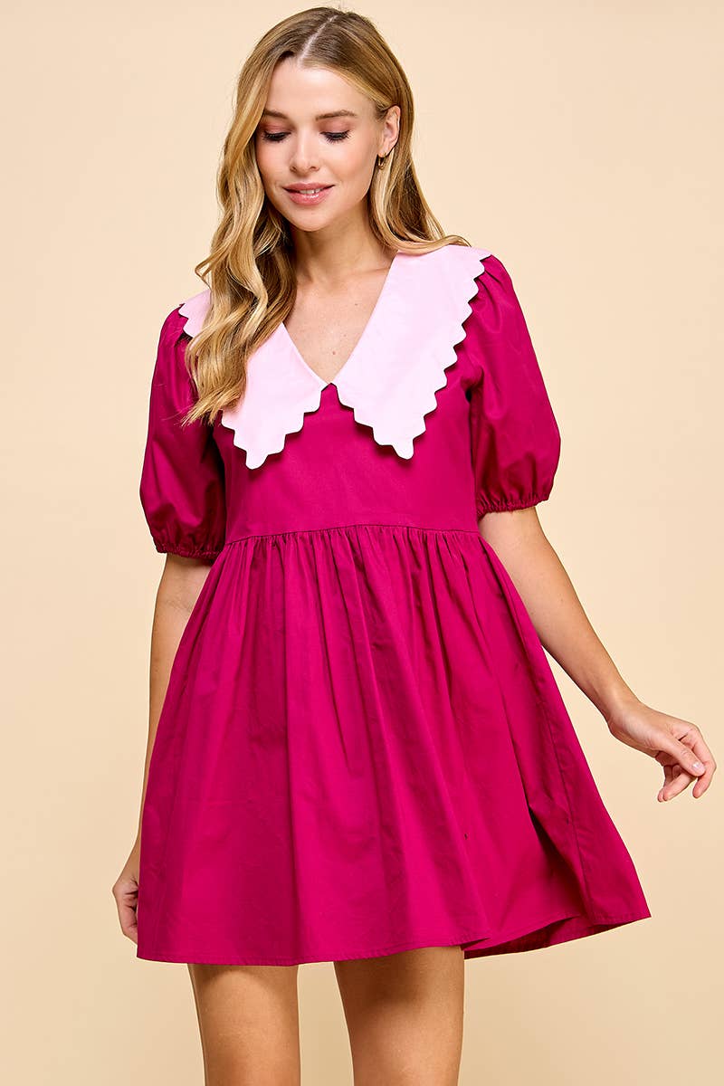 Tea Party Collared Dress
