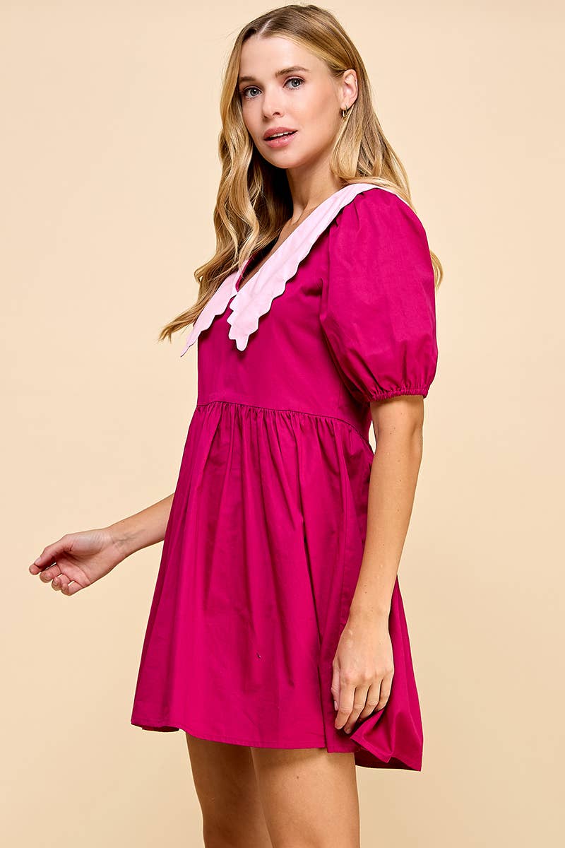 Tea Party Collared Dress